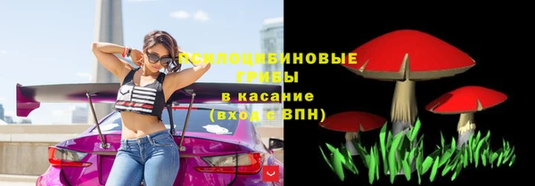 крисы Беломорск