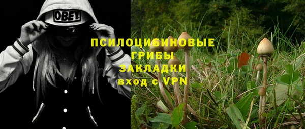 Альфа ПВП Белокуриха