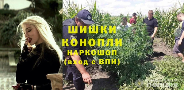 Альфа ПВП Белокуриха