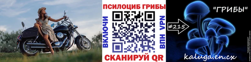 Купить где  Волгоград  Псилоцибиновые грибы Psilocybe 